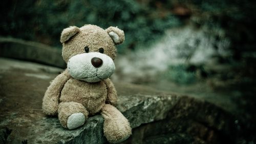 壁纸 悲伤泰迪熊,玩具