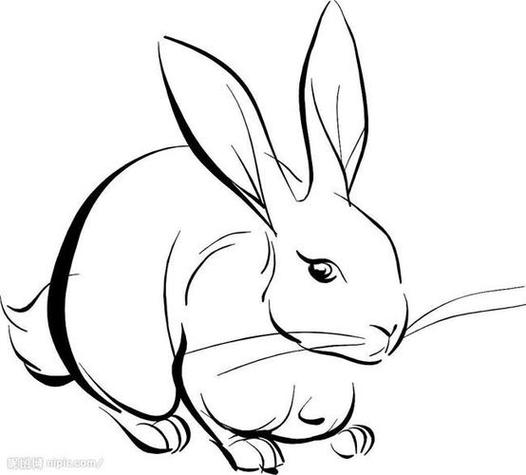 兔子一笔画简笔画