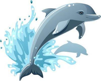 海豚跳水简笔画溅起水花