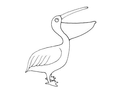 鹈鹕鸟简笔画图片
