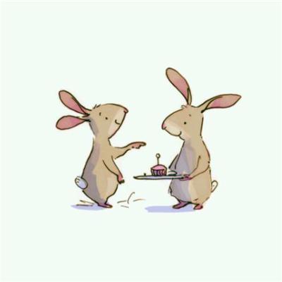 两只兔子情头卡通头像,情侣头像图片-回车桌面