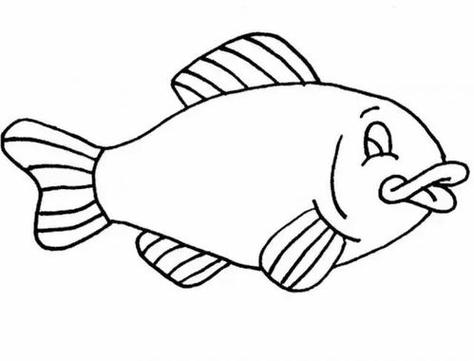 鱼怎么画简笔画图解