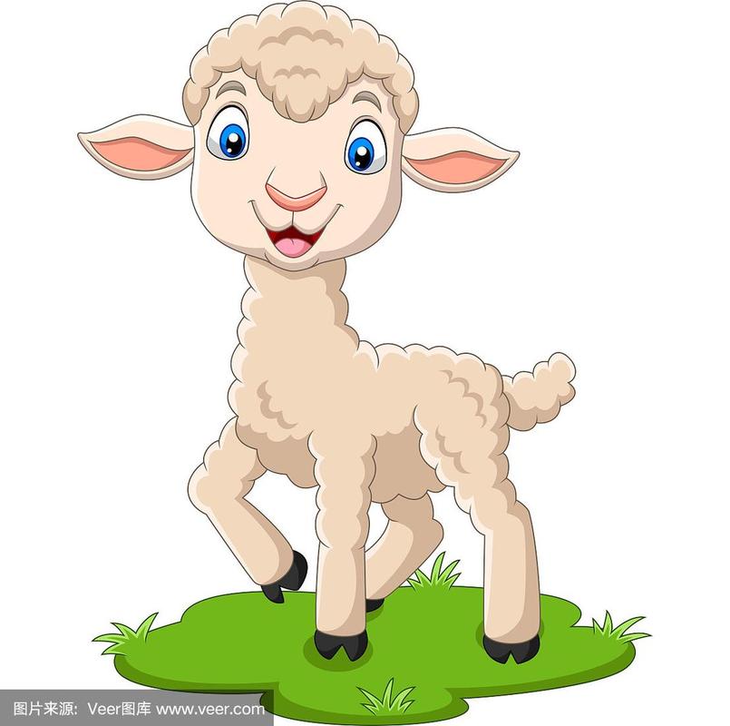卡通快乐的小羊在草地上