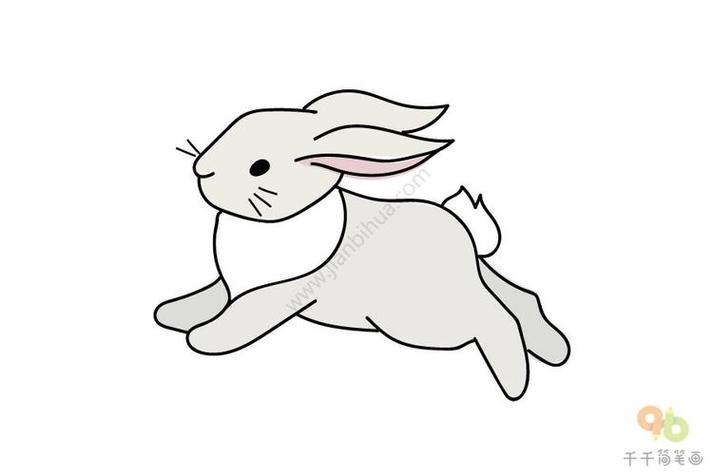 奔跑的兔子简笔画卡通