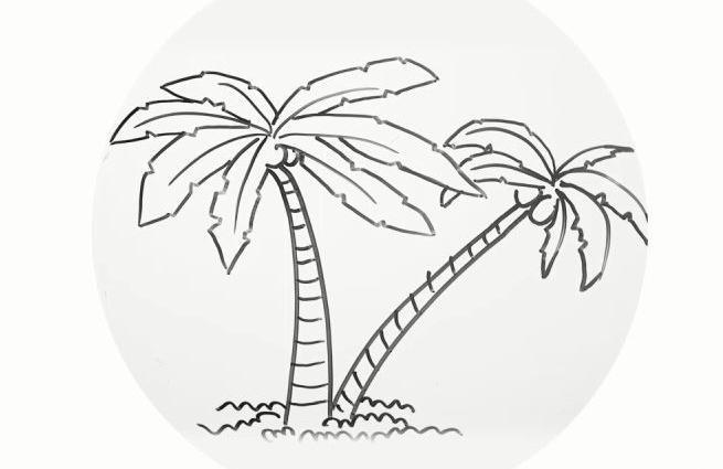 如何画椰子树简笔画图片教程