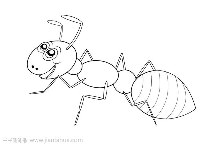 蚂蚁简笔画儿童学画画