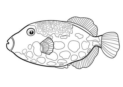 鱼简笔画线条画