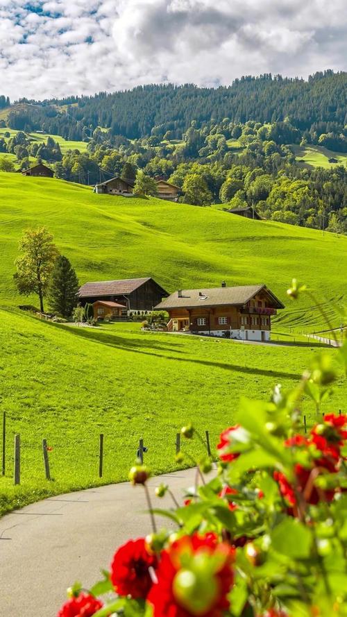 小清新绿色瑞士宁静之美,高清图片-壁纸族