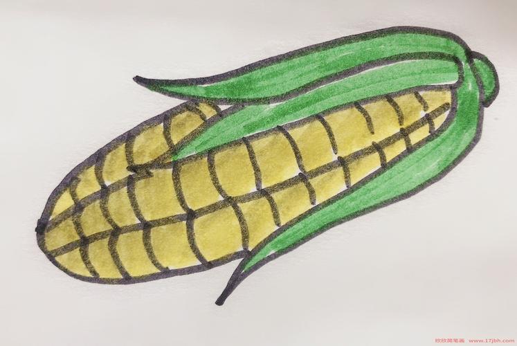 玉米的简笔画的简画