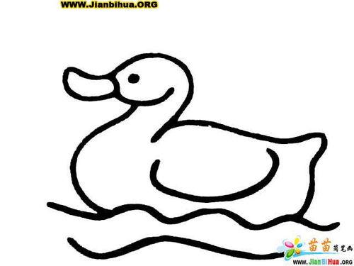 简笔画动物鸭子简单画法