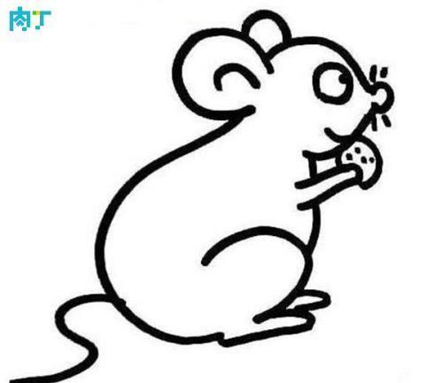 简单的简笔画小动物老鼠