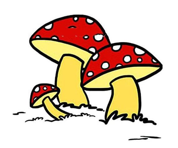 各种蘑菇简笔画彩色