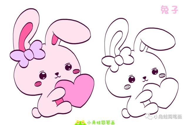 彩色简笔画兔子的背景图片