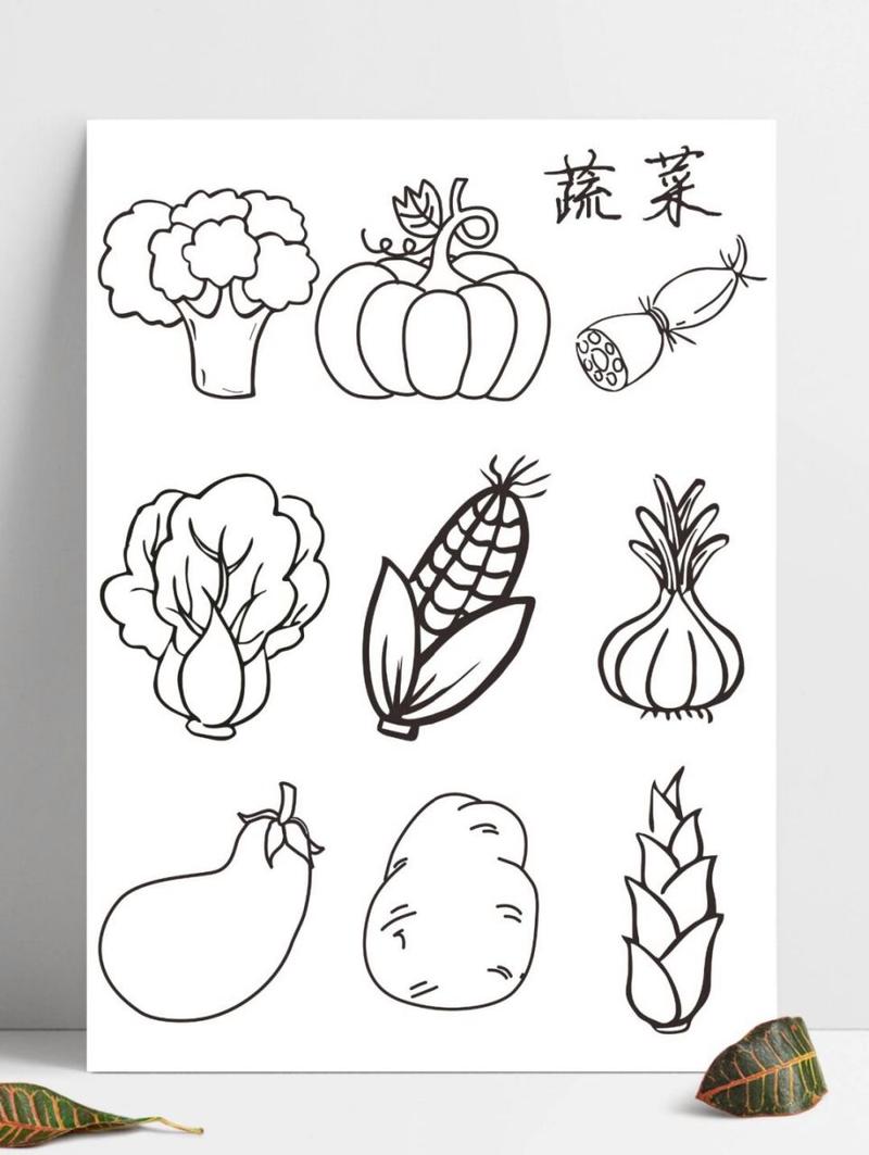 简笔画 | 蔬菜990898合集 常见的蔬菜简笔画素材089902