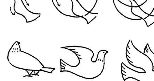 鸽子怎么画简笔画图片鸽子怎么画简笔画图片步骤