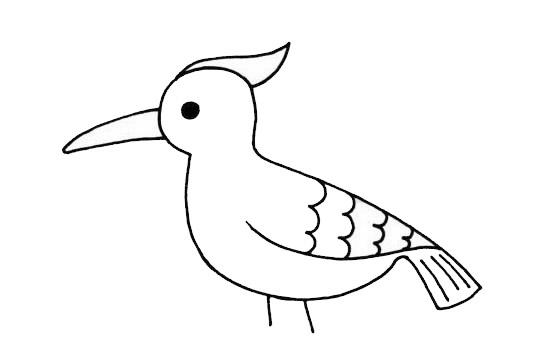 简笔画啄木鸟图片