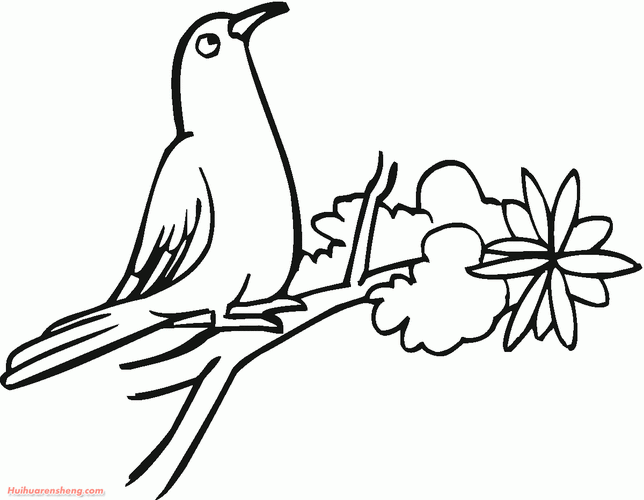 站在花儿枝头的鸽子简笔画图片