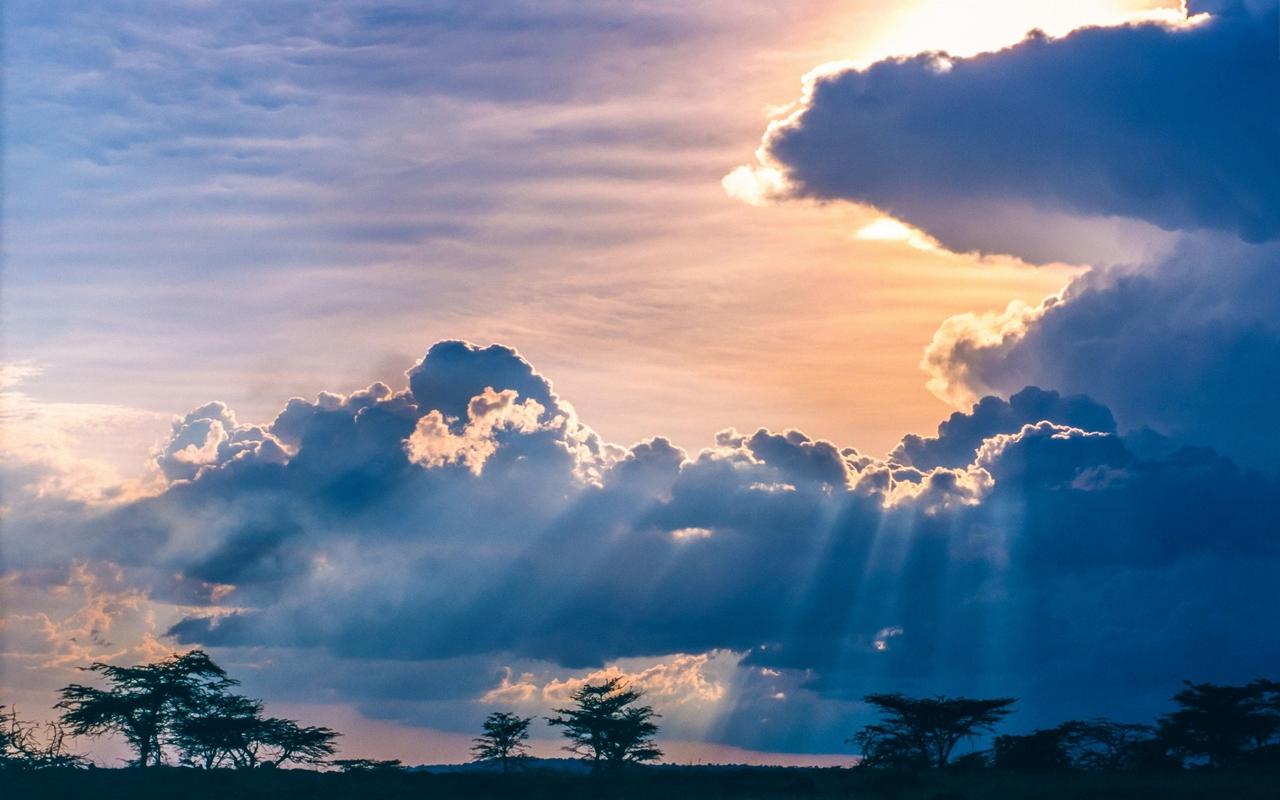 自然风景日落云植物树木大草原地点非洲太阳光线天空颜色蓝色空间