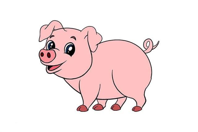 小猪的简笔画怎么画图片
