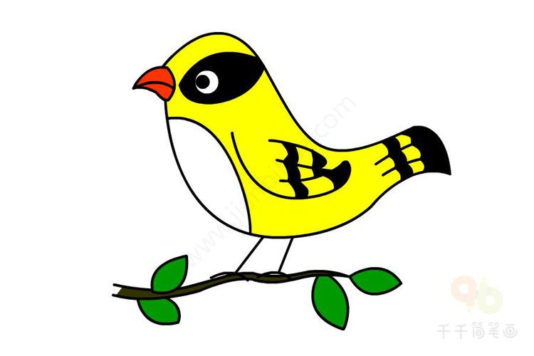 黄鹂简笔画黄鹂鸟简笔画的画法玩耍的黄鹂鸟简笔画图片