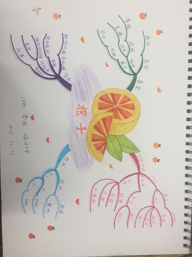 橘子这次培训,是我刚刚绘制思维导图时第一次,非常满意的一次作业,不