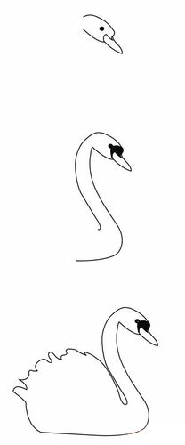 白天鹅的画法简笔画步骤
