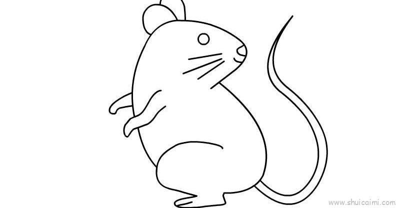 老鼠教程儿童画怎么画 老鼠教程简笔画好看