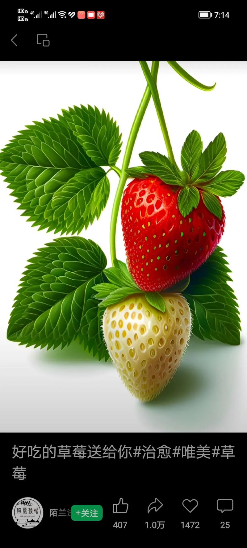 hd1 7:14 好吃的草莓送给你#治愈#唯美#草 莓 陌兰 - 抖音