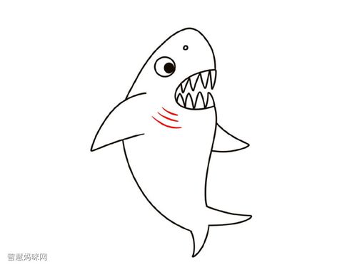 可爱小鲨鱼简笔画图片大全