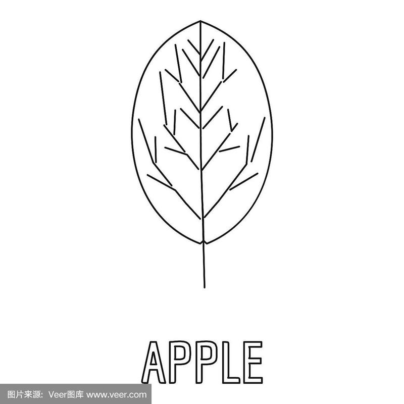 苹果,叶子,轮廓,计算机图标,绘画插图