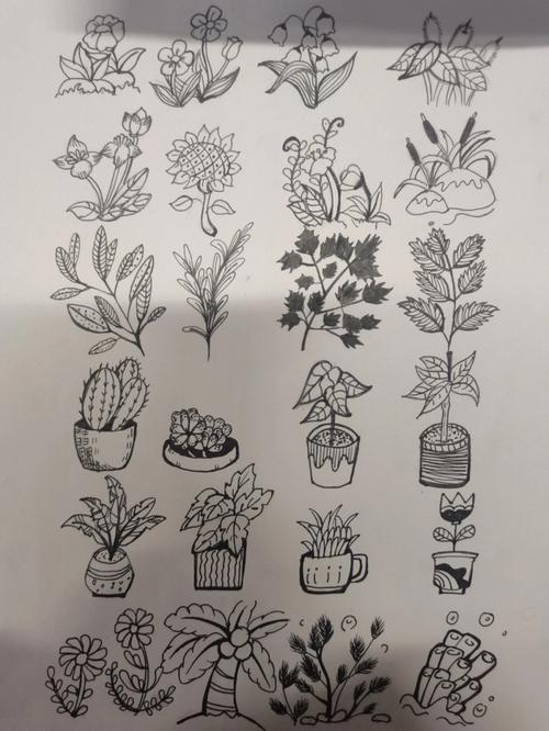 植物简笔画临摹