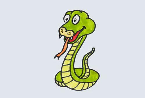 蛇简笔画彩色蛇简笔画彩色可爱卡通