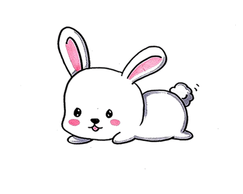 有背景的可爱小兔子简笔画
