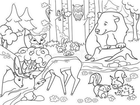 动物森林简笔画大全简单又漂亮