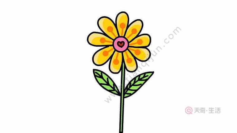 漂亮小花的简笔画大全美丽的花朵简笔画画法美丽的小花简笔画图片四张
