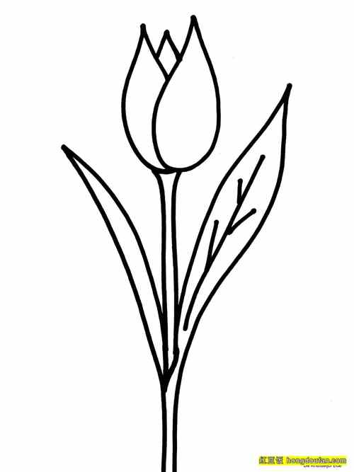 11张春天的花朵卡通简笔画!小雏菊郁金香水仙花樱花手绘简笔画