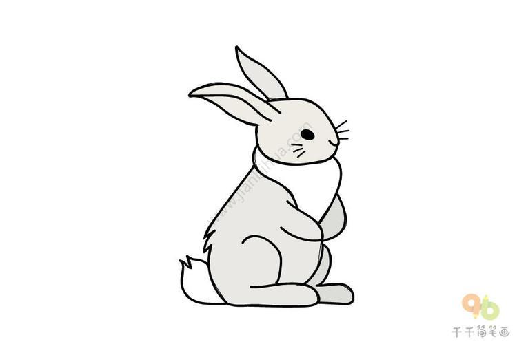长的小兔子简笔画简单漂亮