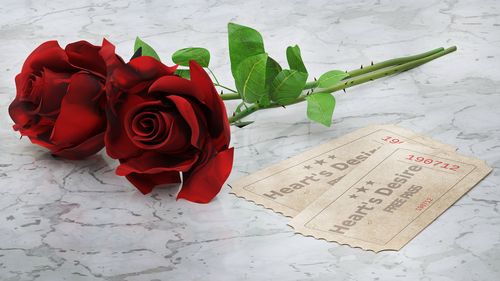 唯美艳丽的红玫瑰图片桌面壁纸