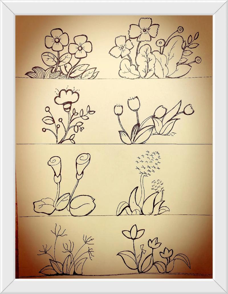 植物小素材简笔画  儿童画  手帐素 - 抖音