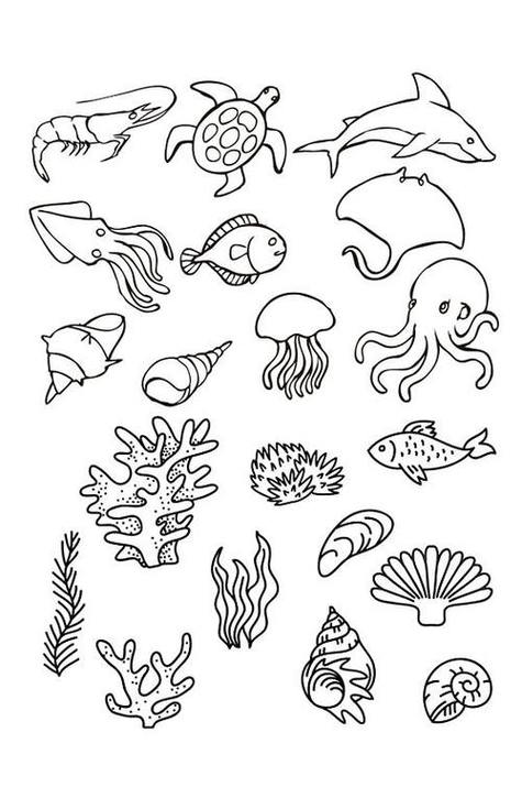 高清海洋生物简笔画