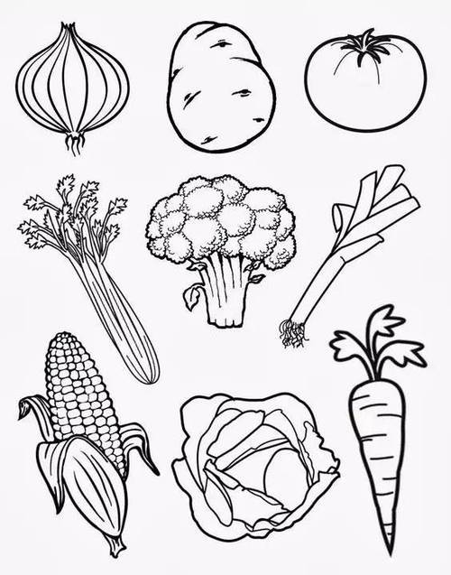 蔬菜简笔画蔬菜水果简笔画图片大全蔬菜简笔画图片大全画蔬菜水果