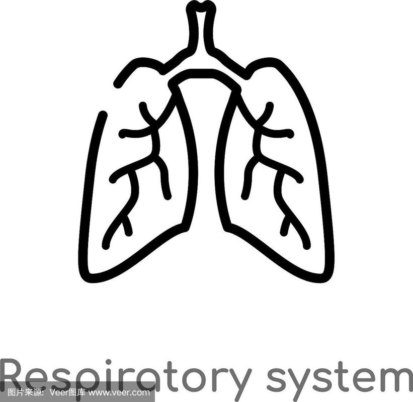 轮廓呼吸系统图标孤立黑色