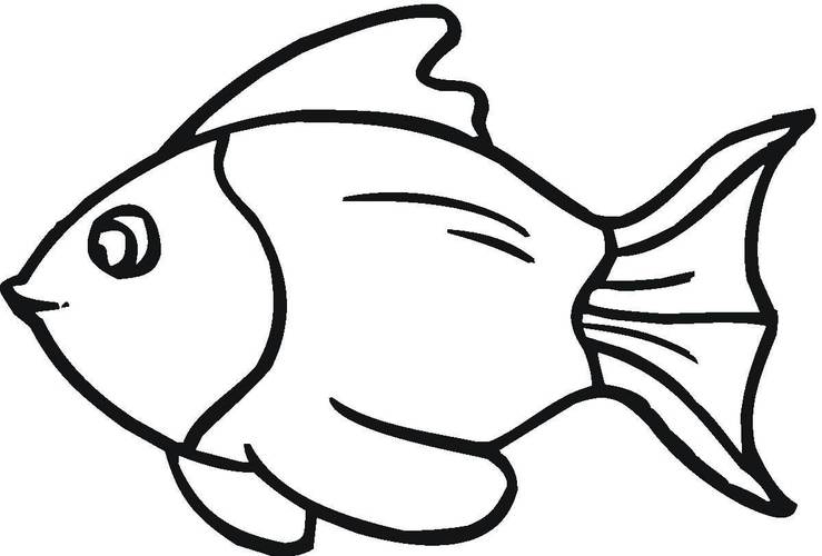 金鱼的简笔画金鱼的简笔画图片大全