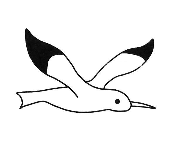 幼儿园海鸥简笔画
