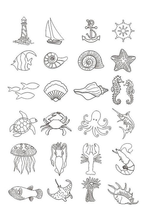 简易海洋生物简笔画