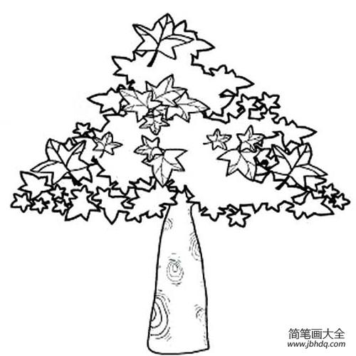 枫树的简笔画法