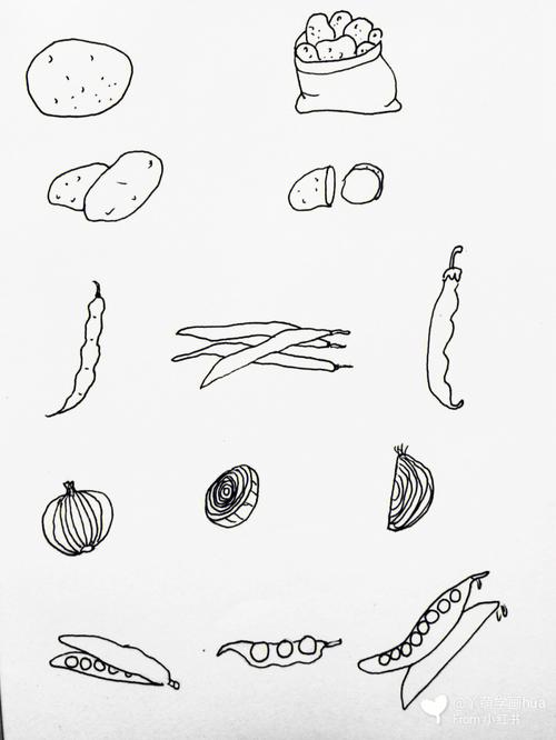 蔬菜的生长过程的卡通简笔画图片