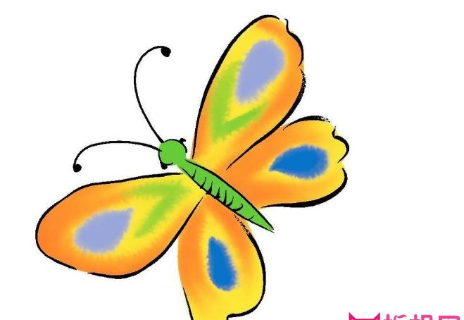 彩色蝴蝶简笔画,蝴蝶的简单画法