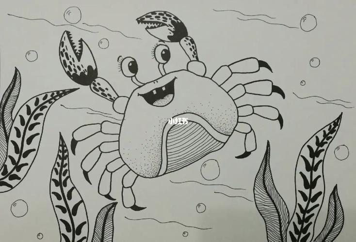 动物简笔画海洋动物黑白简笔画
