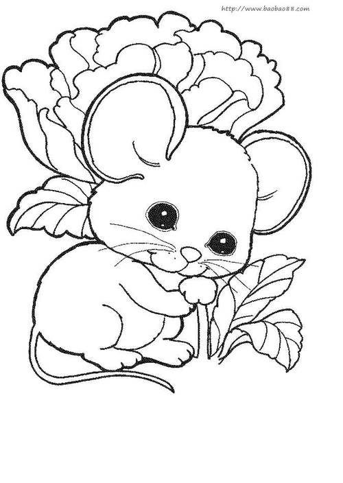 小老鼠简笔画漂亮可爱